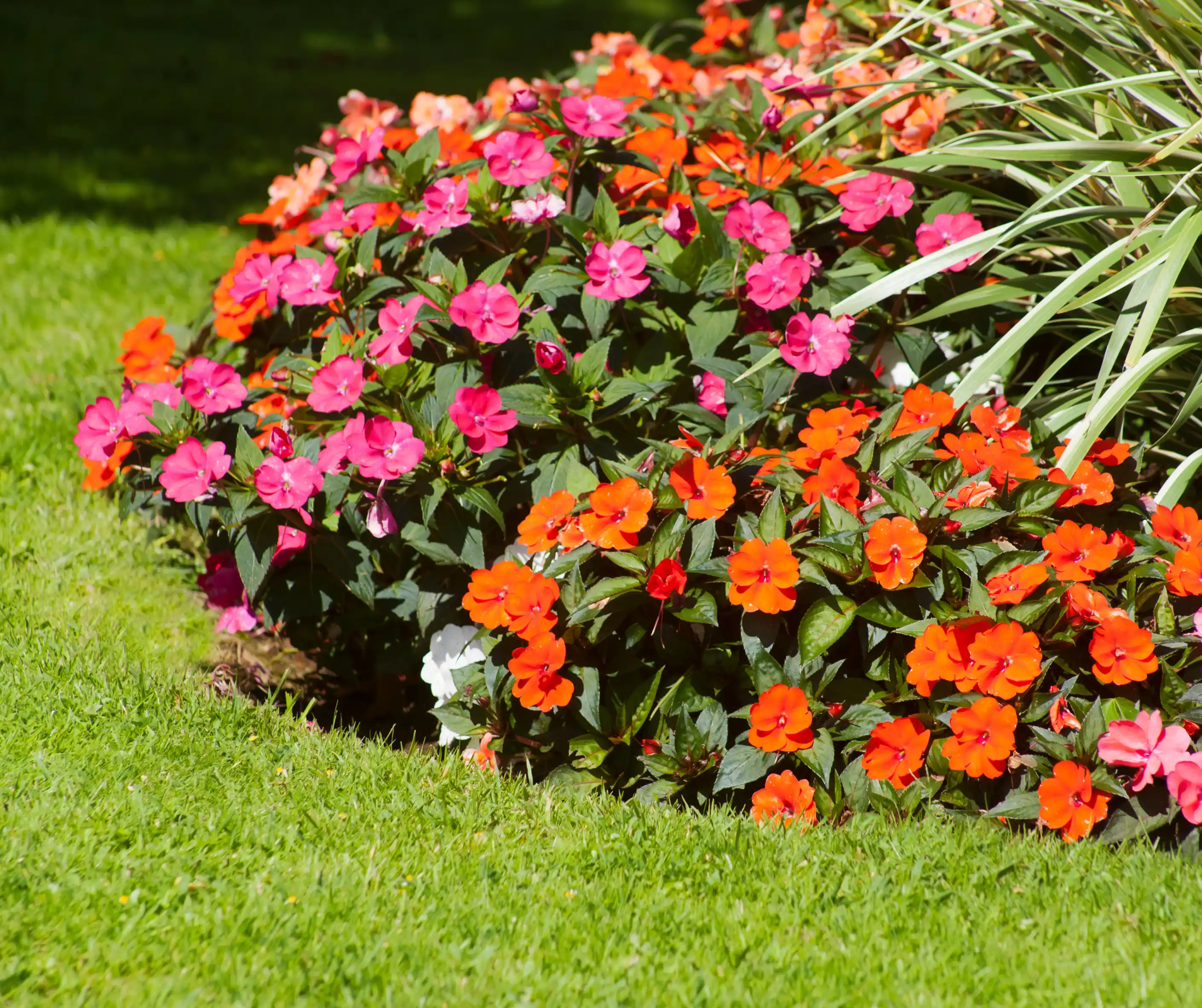 Bright garden flowers planted in a green lawn border