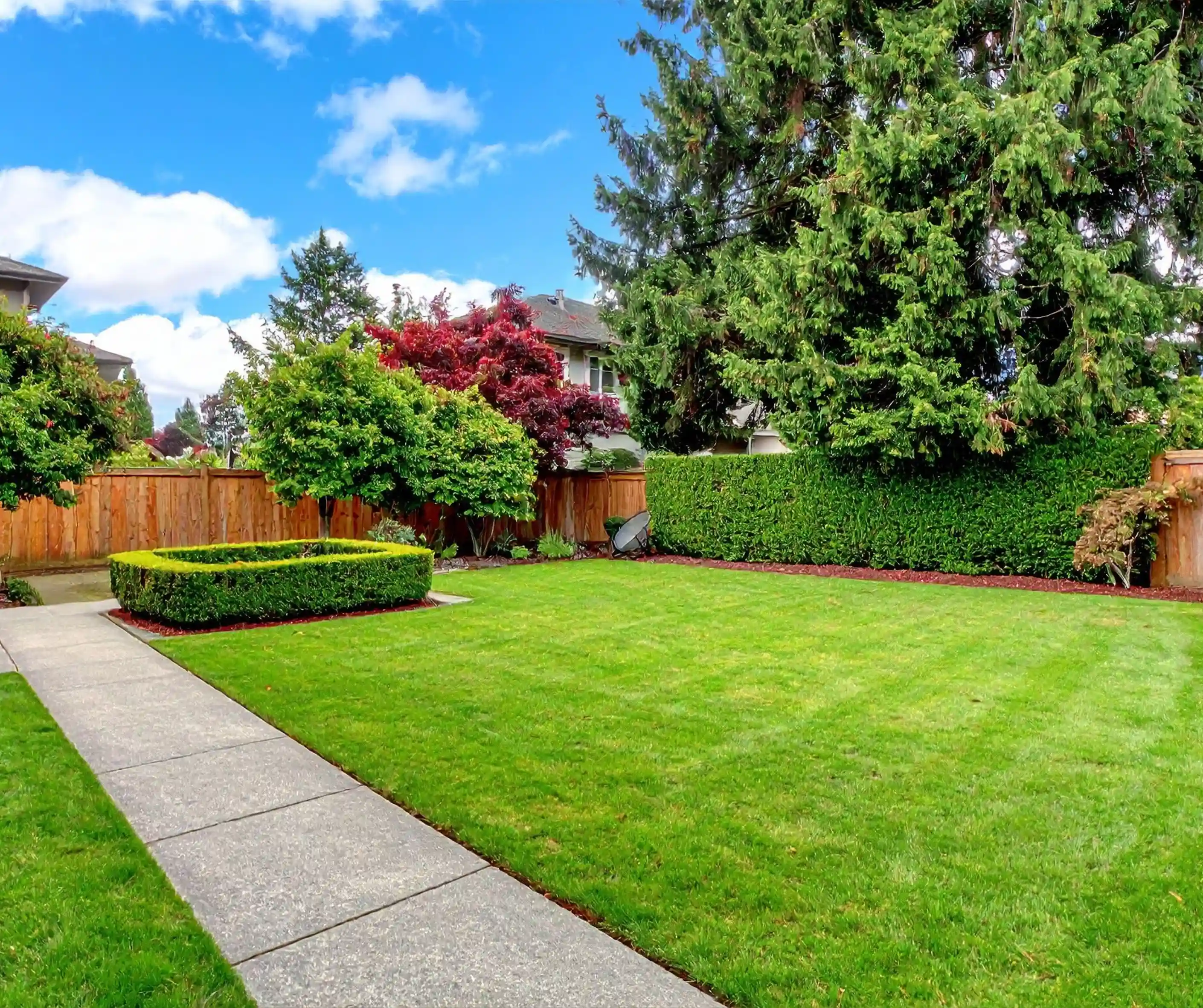 Garden pathway with clipped hedging and lawn